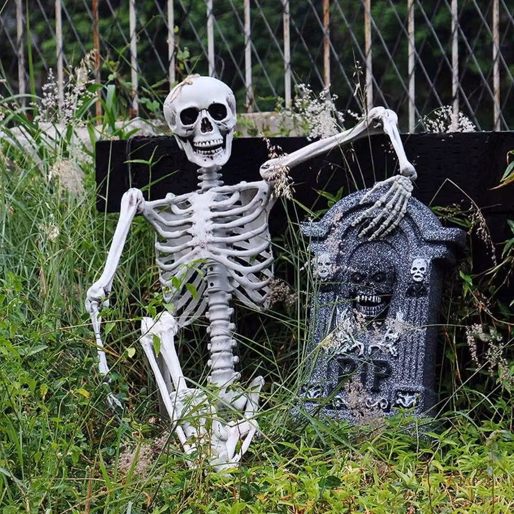 FLAVORA Poseable Full Life Size Human Skeleton in White, W/D/H: 100 x 15 x 15 cm – 3