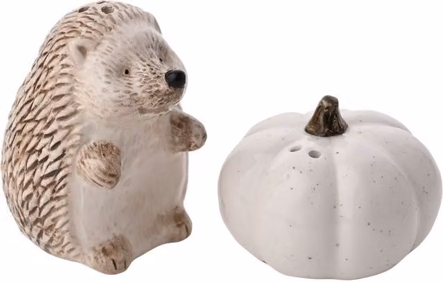 Country Living Autumn Harvest Hedgehog Salt and Pepper Set in White Ceramic