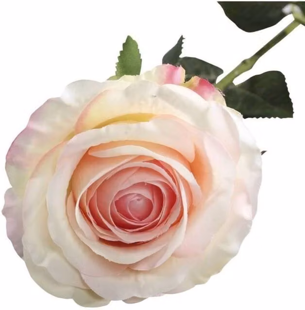 KDMD Small Camelot Open Rose in Pink and White, 3 Pack