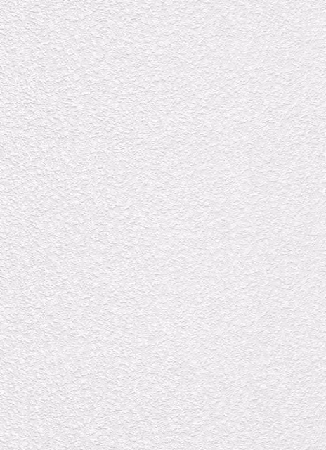 Erismann White Paintable Stipple Textured Vinyl Wallpaper