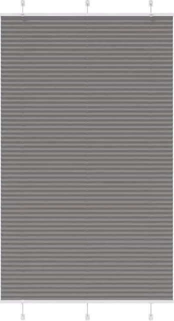 Berkfield Home Single Pleat Corded Blind in Anthracite and Black, W/H: 120 x 200 cm