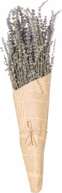 KDMK Organic Dried Lavender Bunch for Rustic Tabletop Decor in Purple and Brown