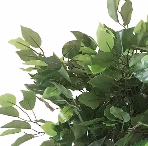 Leaf Design Realistic Artificial Ficus Tree in Green, Height: 60 cm – 2