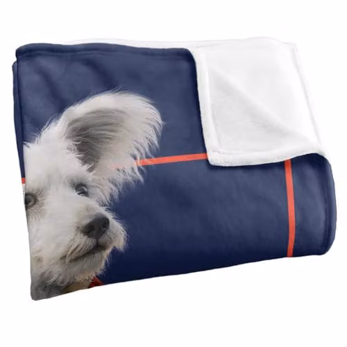 Warner Bros. Superman 2025 Krypto Good Dog Super Soft Fleece Throw Blanket, Multicolour, W: 91 cm, D: 147 cm – 2