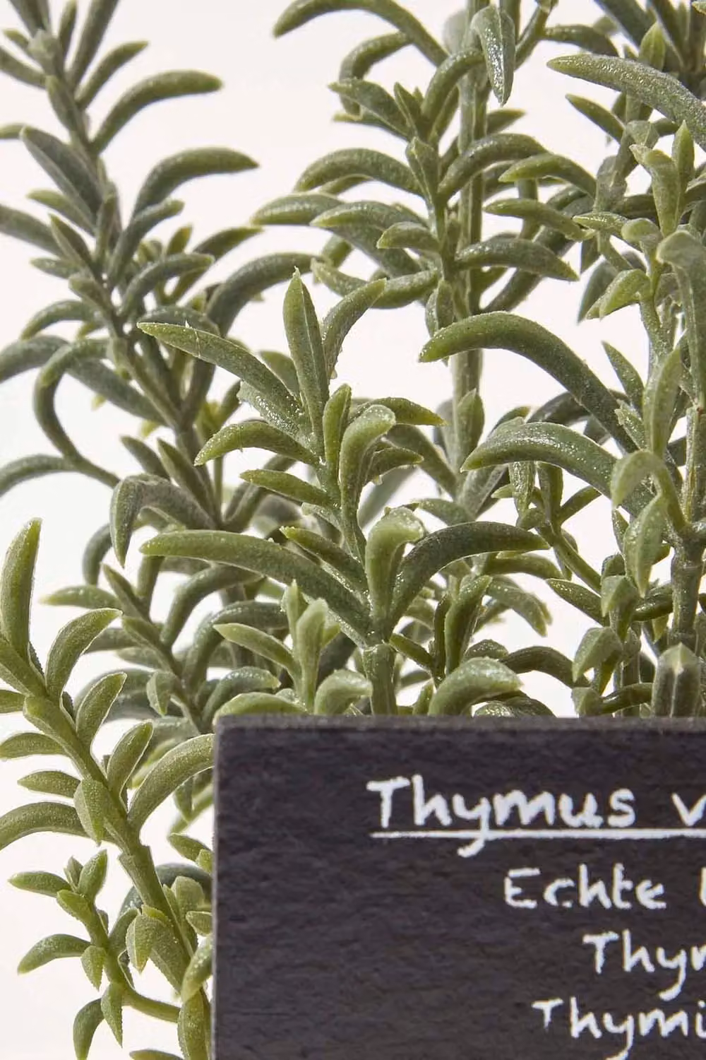 Homescapes Artificial Thyme Plant in a Green Ceramic Decorative Pot – 3