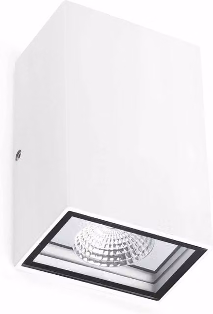 Netlighting Crata LED Outdoor Up and Down Wall Light in White, IP54 Rated