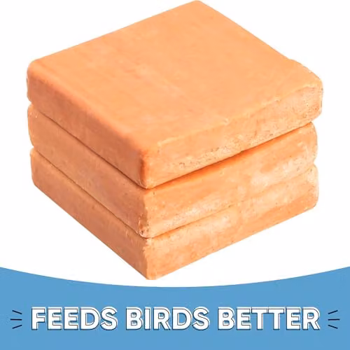 Happy Beaks Berry Flavoured Suet Blocks, 3 Pack, Natural High Energy Bird Feed with Beef Suet, Wheat and Mealworms, Orange – 2