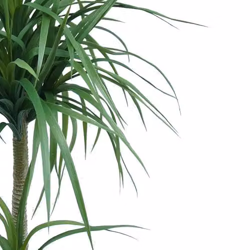 LeafUK Artificial Yucca Tropical House Plant in Green, Potted – 2