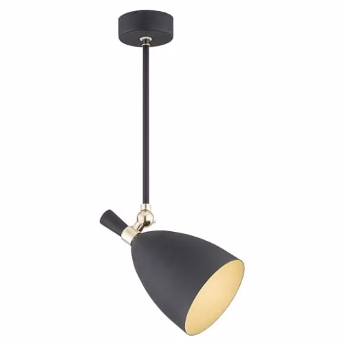 Argon Charlotte Single Suspended Spotlight in Black and Brass – 1