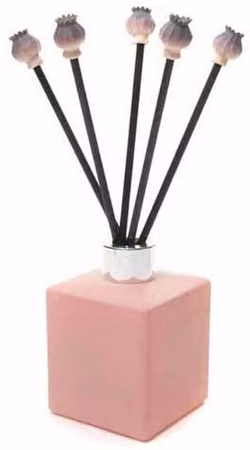 Jardinopia Poppy Seed Heads Range Diffuser Decor, Multicolour, W: 10 cm, D: 10 cm, H: 2 cm