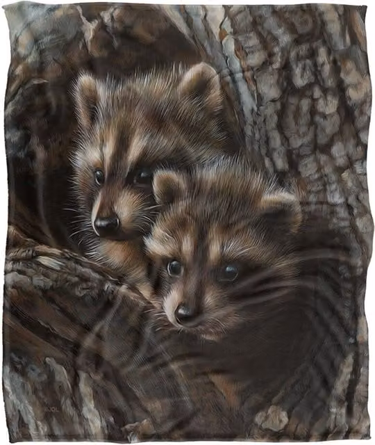 JQ Licensing Two Raccoons Silky Touch Super Soft Fleece Throw Blanket, White, W/D/H: 152 x 127 cm