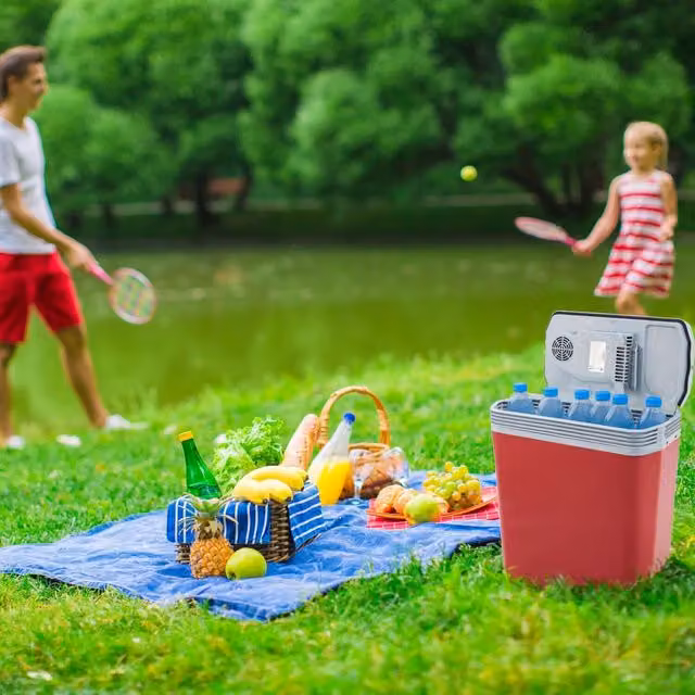 AREBOS Electric Cooler Box with ECO Mode, Red, 20l