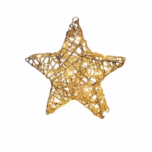 Samuel Alexander Gold Weave Wonder Starlet Christmas Star with LEDs, 30 cm – 2