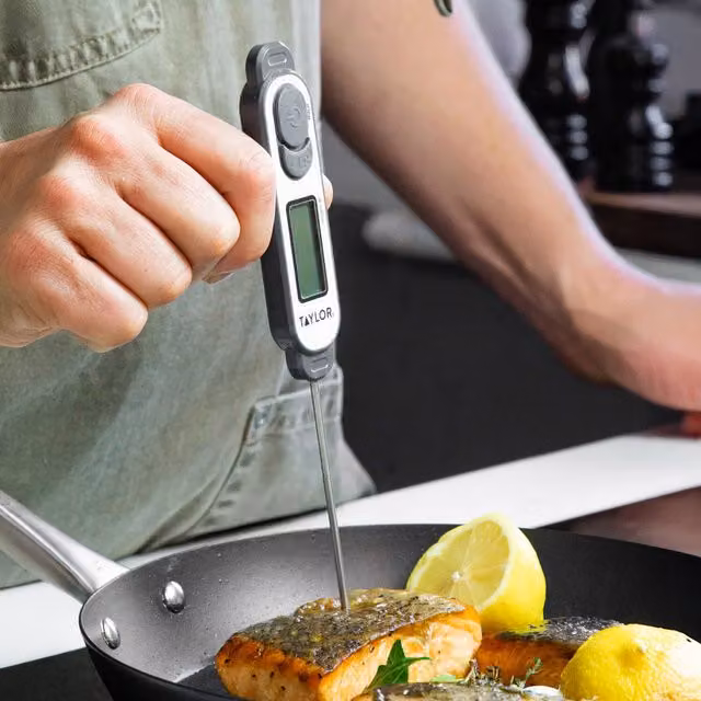 Taylor Pro Waterproof Meat Thermometer in Grey