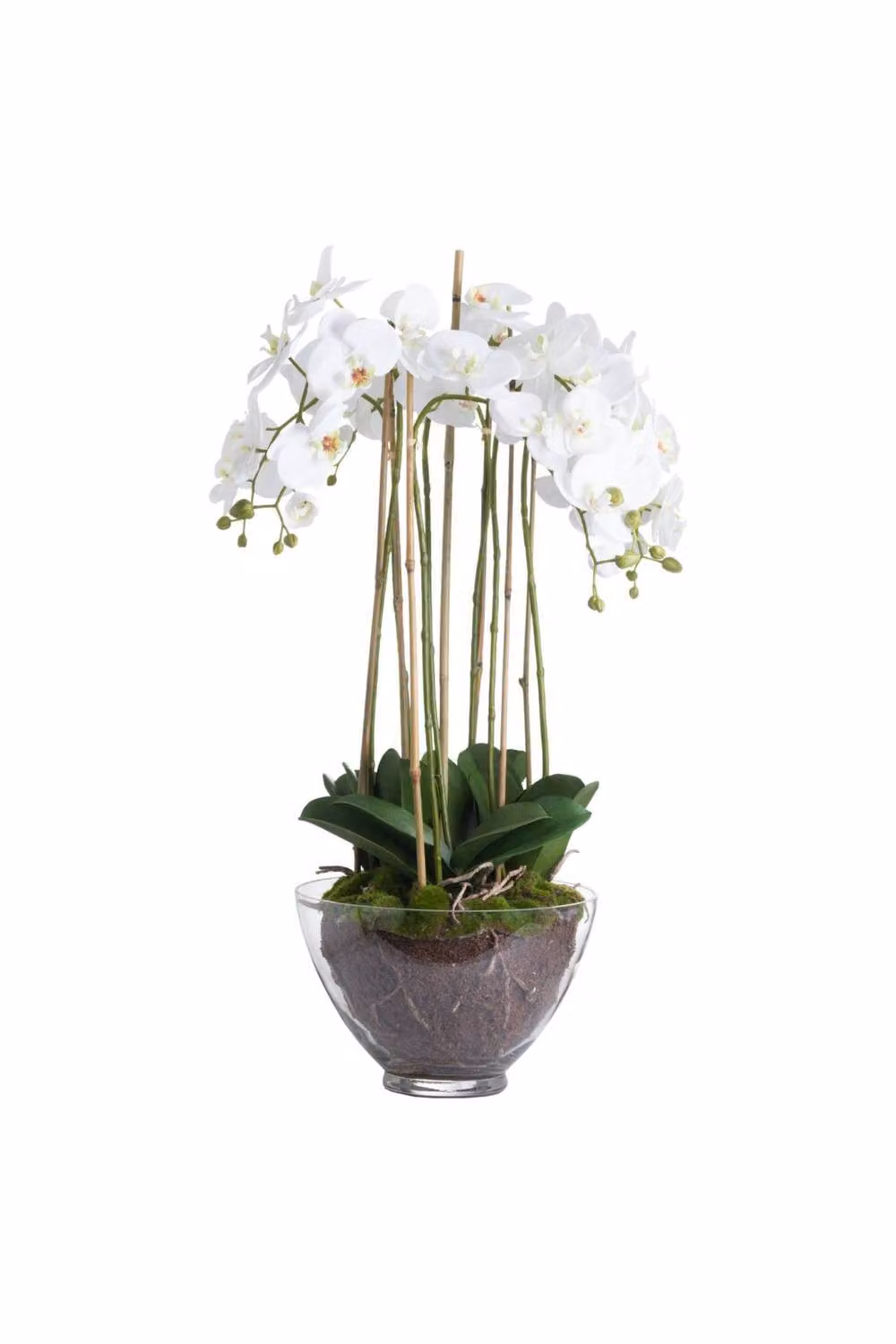 KDMD Elegant White Orchid in a Transparent Glass Pot for Modern Tabletop Decor – 2