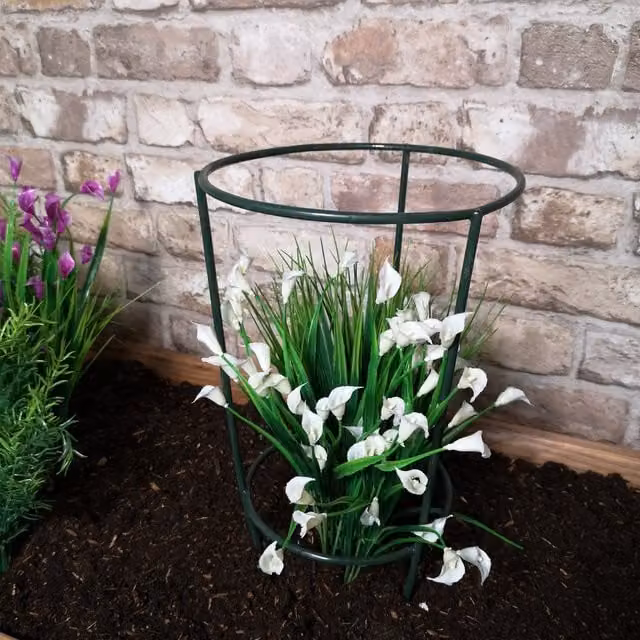 Tom Chambers Urban Green Conical Garden Plant Support Ring, Green, Diameter: 30 cm