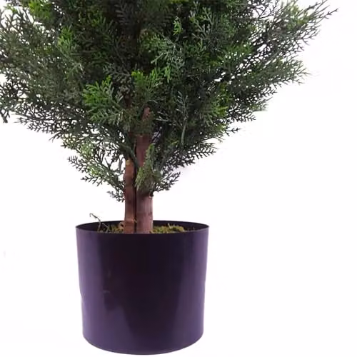 Botanik Realistic Green Artificial Topiary Tree in a Wood Tabletop Pot, H 120 cm x W 55 cm x D 55 cm – 3