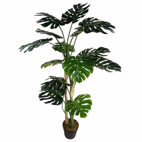 Botanik Premium Artificial Monstera Plant in Green and Black, Potted, H 150 cm x W 70 cm x D 70 cm – 1