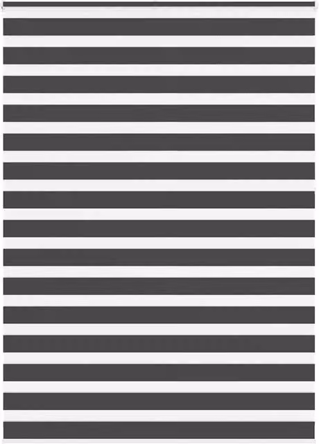Berkfield Home Zebra Day and Night Blind in Black Polyester, W: 155 cm, H: 230 cm