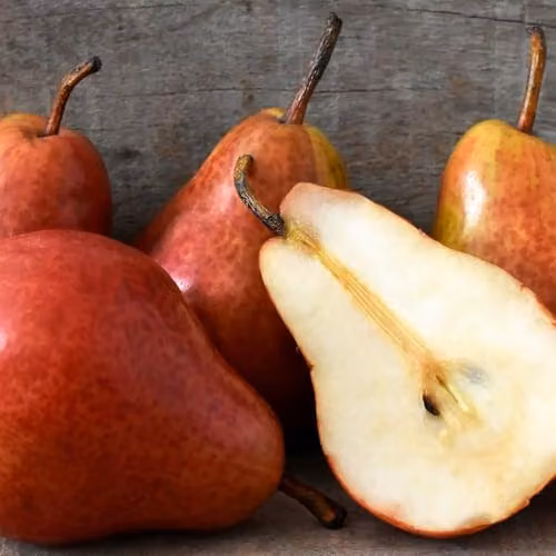 Thompson & Morgan Red William Pear Tree, Red-Skinned Sweet Fruit, Partially Self-Fertile, 4.5 Litre Pot – 4