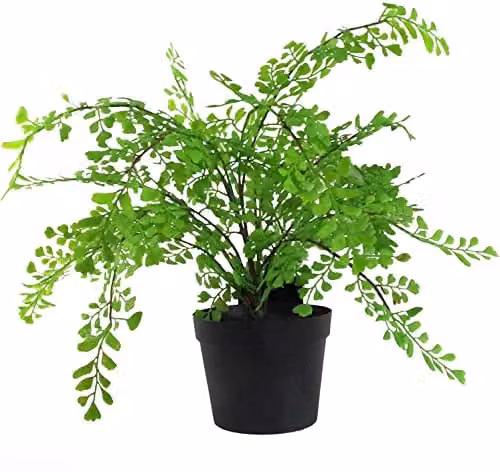 Leaf Design UK Realistic Large Artificial Palm Foliage Plant with Pot, Green, Height: 50 cm – 1