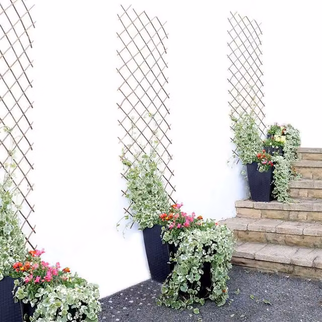 Voltico Brown Woven Willow Garden Trellis Wooden Plant Support for Climbers, H: 182.88 cm, W: 30.48 cm