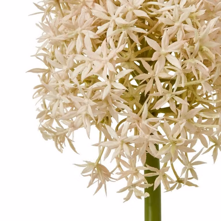 Lemon Pavilion Pink Allium Single Stem Artificial Flower, W: 16 cm, D: 16 cm, H: 80 cm