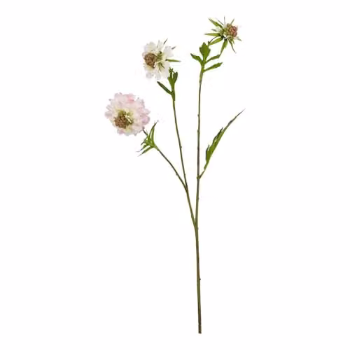 Hill Interiors Scabious Stem Artificial Plant, Pink, Height: 65 cm – 1