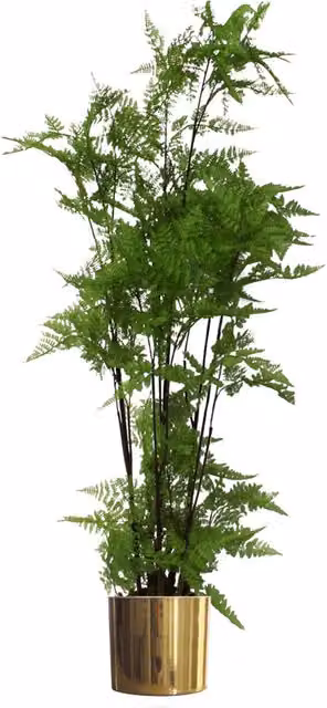 Leaf 150cm Artificial Natural Extra Fern Foliage Plant with Gold Metal Planter in Green – 1
