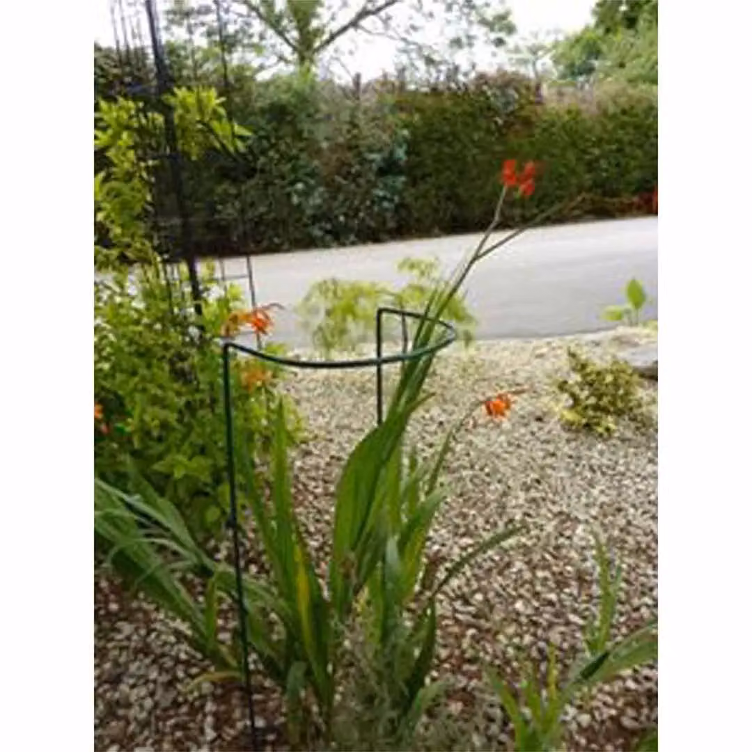 Poppyforge Green Plant Stake Border Support, Pack of 4, H 86.4 x W 25.4 x D 17.7 cm – 2