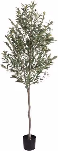 KDMD Green Artificial Mediterranean Olive Tree, Height: 180 cm