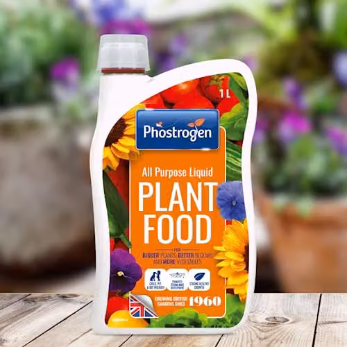 Phostrogen All Purpose Liquid Plant Food and Plant Tonic, 1 l, Orange – 6