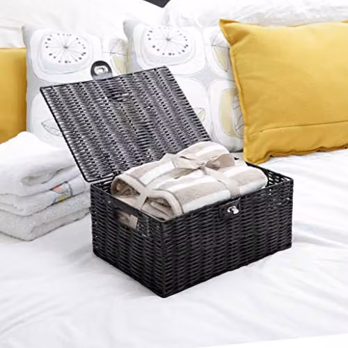 Arpan Medium Resin Woven Storage Basket with Lid and Lock in Black – 2