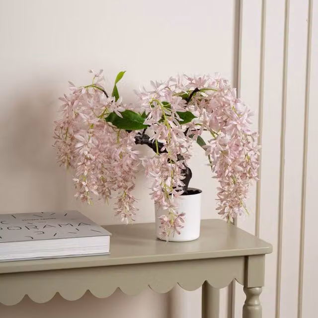 Scottish Everlastings Ltd Pink Orchid Bonsai in a White Ceramic Pot, Height: 36 cm