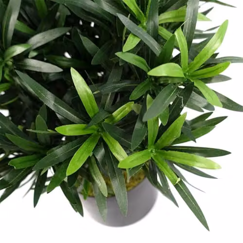 Botanik Green Tabletop Artificial Tree – 3