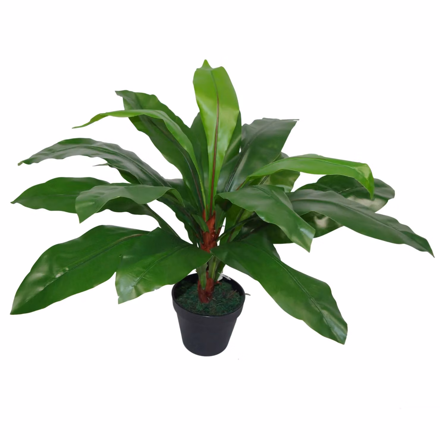 Leaf Design Large Artificial Bird's Nest Fern Plant in Green, Height: 60 cm – 2