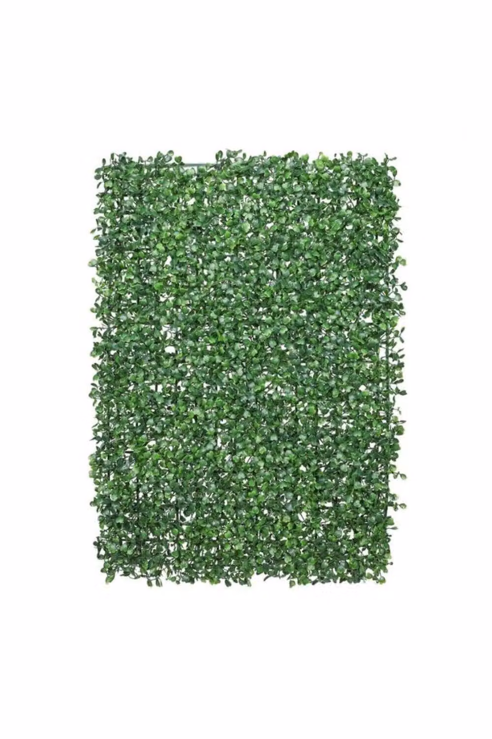 KDMD Essential Green Hanging Greenwall 2 Pack – 2