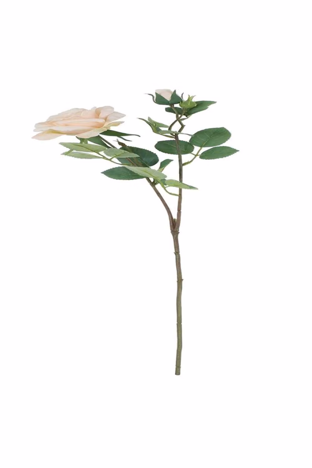 KDMD Tintagel Spray Rose in White and Beige, 2 Pack – 3