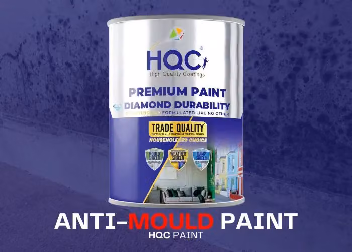 HQC Paints Mould Resistant Anti Mould Paint in Grey, 2.5 l – 2