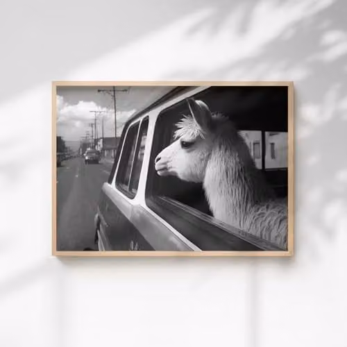 60 Second Makeover Llama In A Car Paper Poster, A4, Multicolour