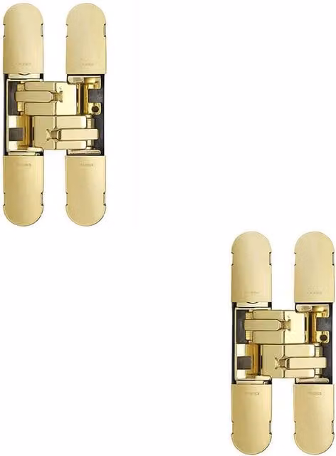 Loops 2x Adjustable Medium Duty Concealed Hinge, Brass Plated, W: 100 mm, D: 22 mm