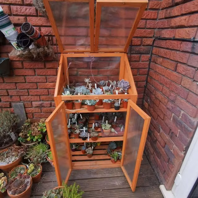 Samuel Alexander Brown Wooden Mini Greenhouse Cold Frame with Polycarbonate Shelving, H120 x W69 x D49 cm – 6
