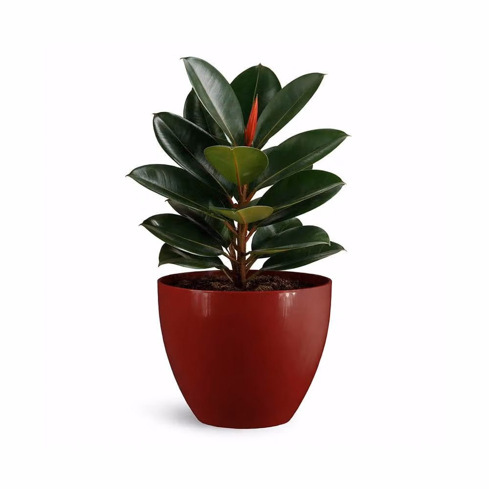 Simpa Avant-Garde Gloss Plastic Planter Set of 2 in Red, Small – 1