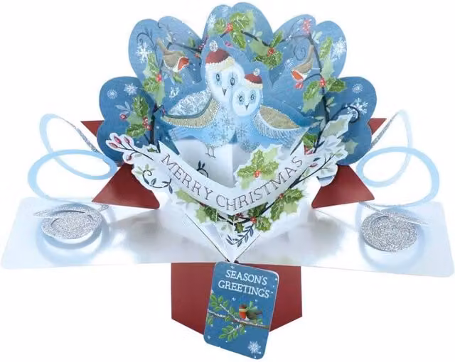 KDMD Blue Owl in Wreath Pop Up Card