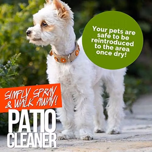 Pro-Kleen Patio Cleaner Mould and Algae Killer, 5 l – 2