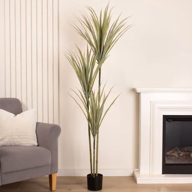 Scottish Everlastings Ltd 160cm Green Yucca Tree with Black Pot – 1