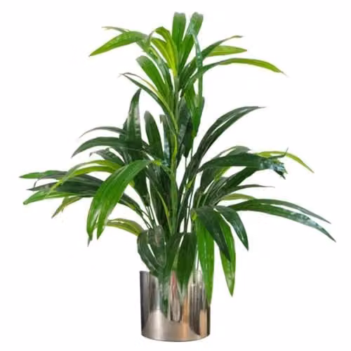 Leaf Realistic Bamboo Shrub Plant with Silver Metal Planter, Height: 65 cm