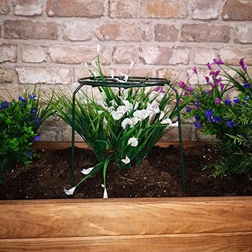 Samuel ALEXANDER Pack of 3 Metal Herbaceous Plant Supports in Dark Green, W/D/H: 20 x 20 x 40 cm