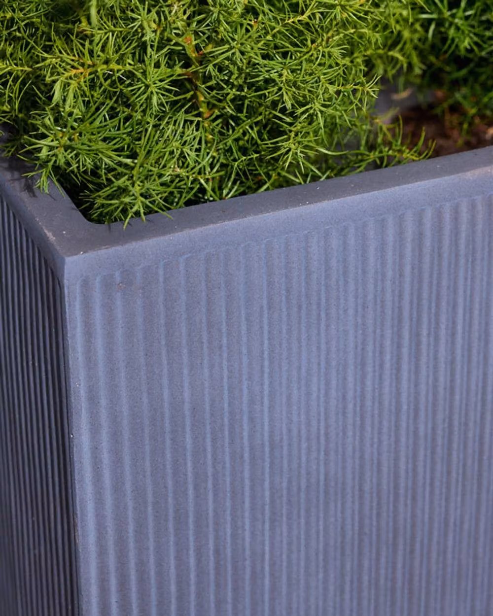 Dibor X-Large Slate Grey Ribbed Fibre Clay Indoor Outdoor Garden Planter, H: 44 cm, W: 44 cm – 3