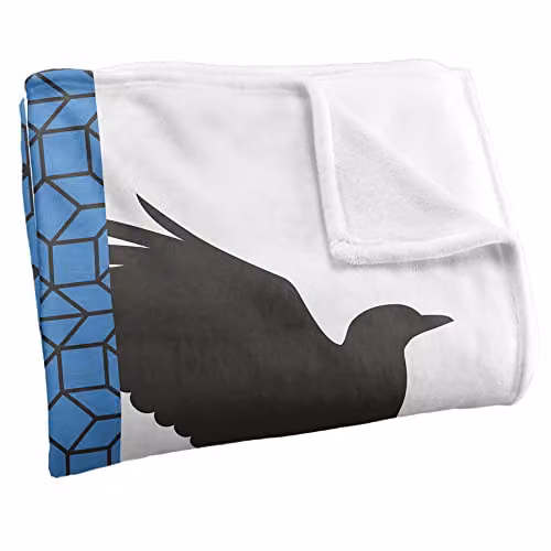 LOGOVISION Harry Potter Ravenclaw House Pride Throw Blanket, Multicolour and White, W: 152 cm, D: 127 cm – 2